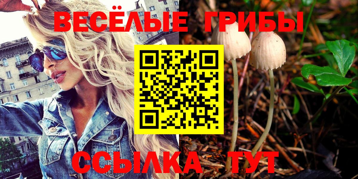 Псилоцибиновые грибы мухоморы Калуга
