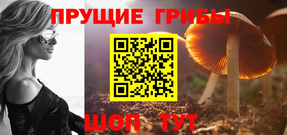 Калуга  Галлюциногенные грибы Cubensis  Вход с VPN  Псилоцибиновые грибы Cubensis 
