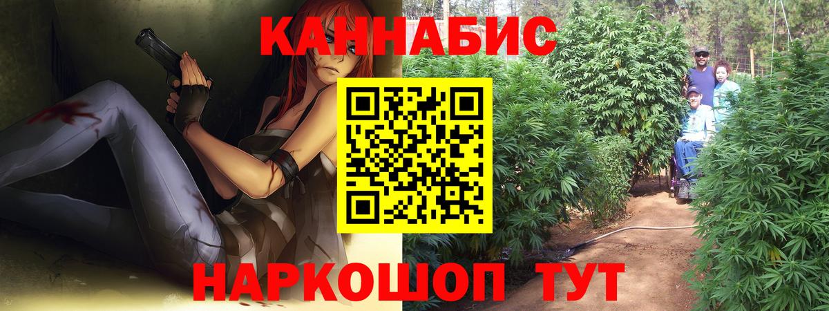 Конопля марихуана  Вход с VPN  Бошки марихуана Ganja  Шишки марихуана конопля  Калуга 